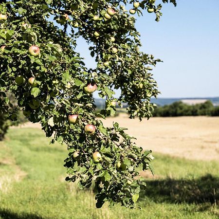 Wohnen Im Denkmal Leilighet Gumperda Eksteriør bilde